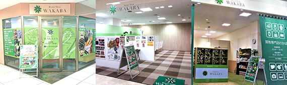 WAKABAの来店しやすい内外装